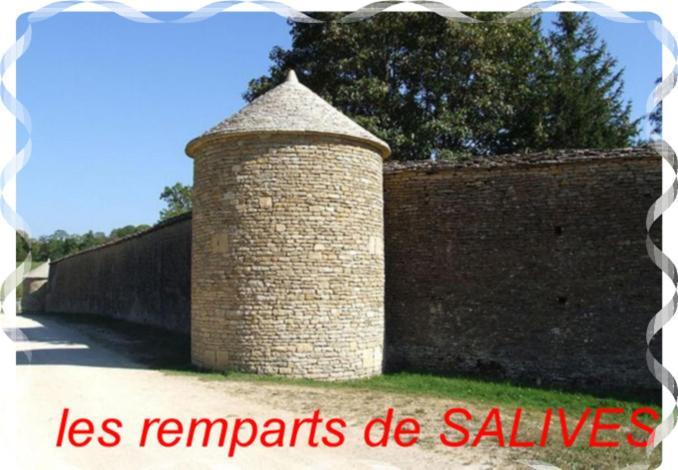 Le Puits Fortifie Salives Buitenkant foto